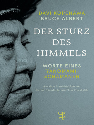 cover image of Der Sturz des Himmels